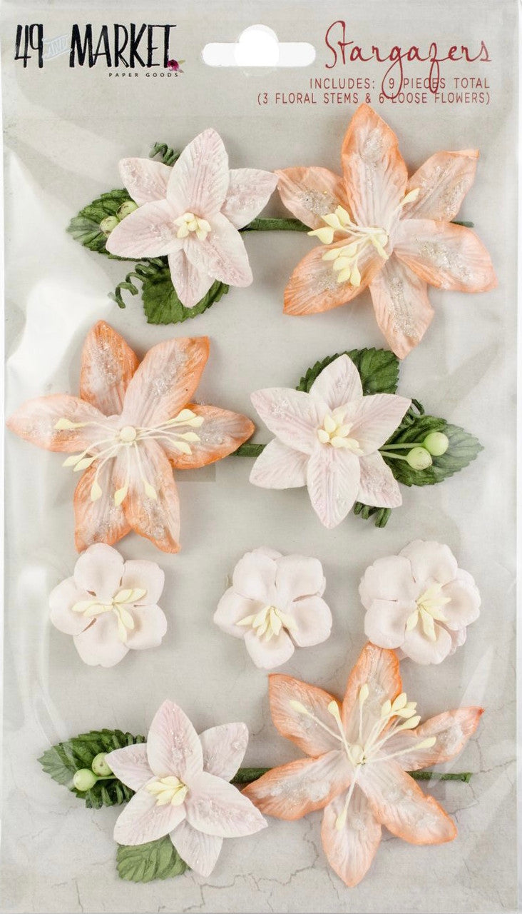 49 en Market Stargazers Peach Sorbet